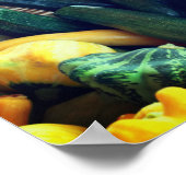 Poster Zucchini Summer Squash Gourds Légumes (Coin)