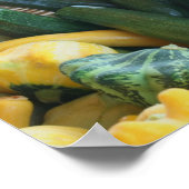 Poster Zucchini Summer Squash Gourds Légumes (Coin)