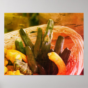 Poster Zucchini Summer Squash Gourds Légumes Vintage