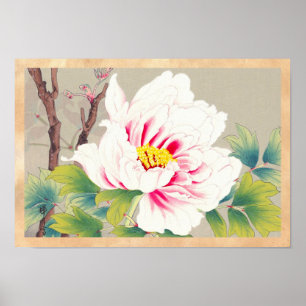 Poster Zuigetsu Ikeda Pink Camellia japonaises fleurs art