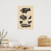 Poster Zuni fetiches (Cuisine)