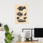 Poster Zuni fetiches (Bureau à domicile)