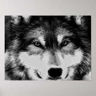 Poster zwart-wit Wolf Eyes