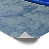 Poster Zydeco Geno (Coin)