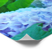 Posterafdrukken Blauwe Hortensia Bloemen Tuin Poster (Hoek)