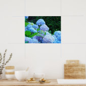 Posterafdrukken Blauwe Hortensia Bloemen Tuin Poster (Keuken)