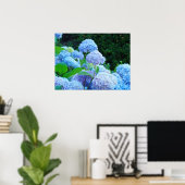 Posterafdrukken Blauwe Hortensia Bloemen Tuin Poster (Thuiskantoor)
