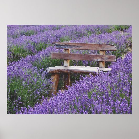 Posterbank in lavendel poster (Voorkant)