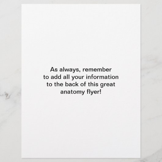 Posterior Muscles Flyer (Achterkant)