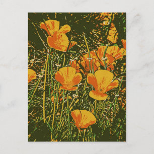 Posterized Poppies Briefkaart