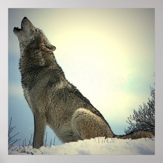 Posterprint van de huilende wolf poster (Voorkant)