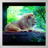 Posters-27 Poster (Voorkant)