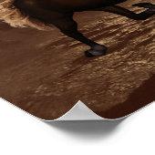 Posters Centaur Féminins (Coin)