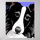 Posters Collie Bordure (Devant)