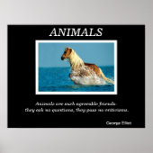 Posters d'animaux 31 (Devant)