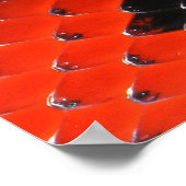 POSTERS DE ANIMAUX - 1 (Coin)