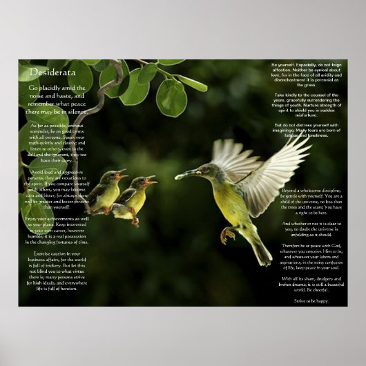 Posters de Desiderata Hummingbird (Devant)