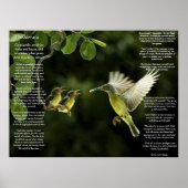 Posters de Desiderata Hummingbird (Devant)