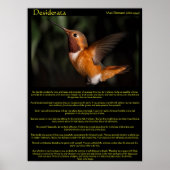 Posters de Desiderata Hummingbird 2 (Devant)
