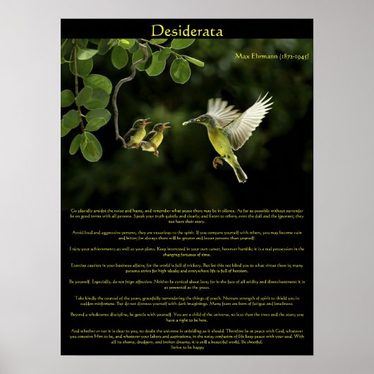 Posters de Desiderata Hummingbird 3 (Devant)