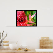 Posters de la Torche rouge Ginger Heliconia (Cuisine)