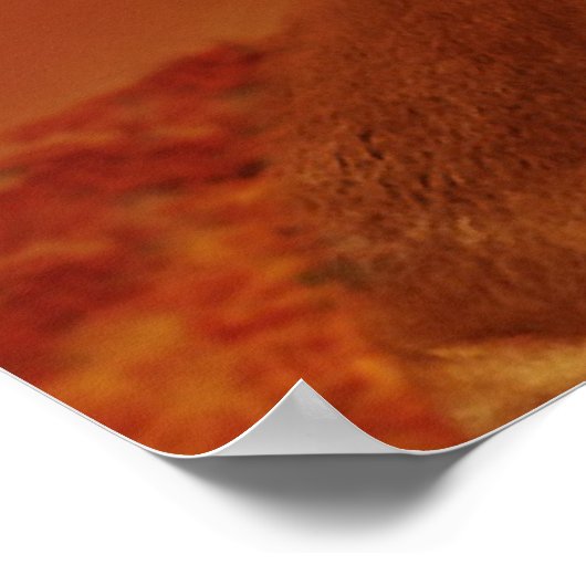 Posters de Paire de Lion (Coin)