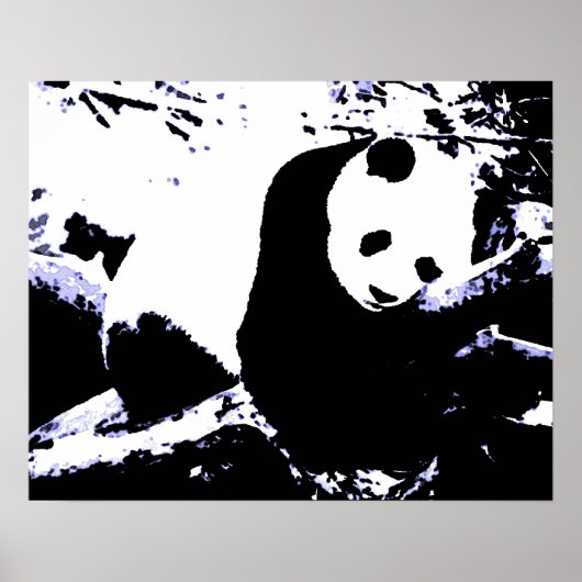 Posters de Panda - Poster de Panda (Devant)