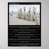 Posters Desiderata 2 (Devant)