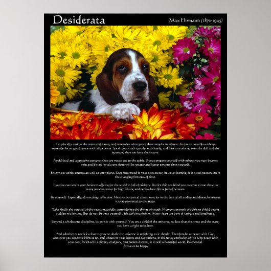 Posters Desiderata 6 (Devant)