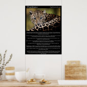 Posters Desiderata 8 (Cuisine)