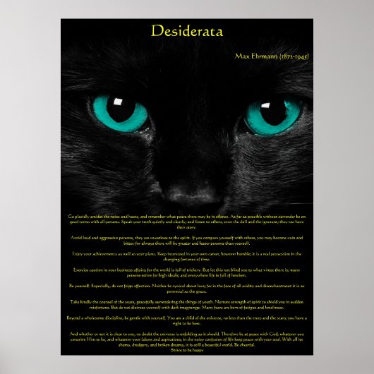 Posters Desiderata Cat Eyes (Devant)