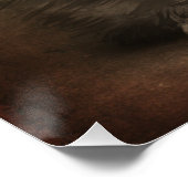 Posters Dives Cat 4 (Coin)