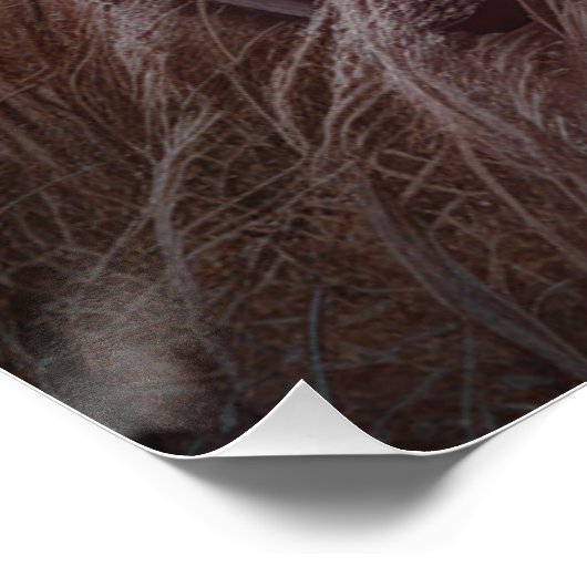 Posters Dreadful 10 (Coin)