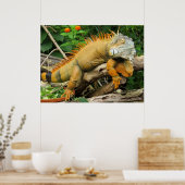 Posters du Lézard Dragon (Cuisine)