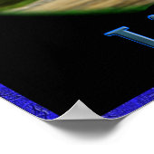 Posters du Lion de Juda (Coin)