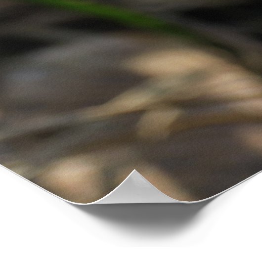 Posters en croques (Coin)