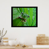 Posters et impressions de grenouilles d'arbre vert (Cuisine)