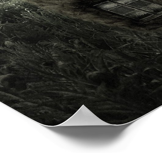 Posters Fantasy (Hoek)