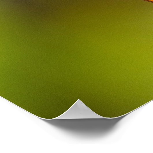 Posters Fritillary Gulf Papillons (Coin)