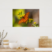 Posters Fritillary Gulf Papillons (Cuisine)
