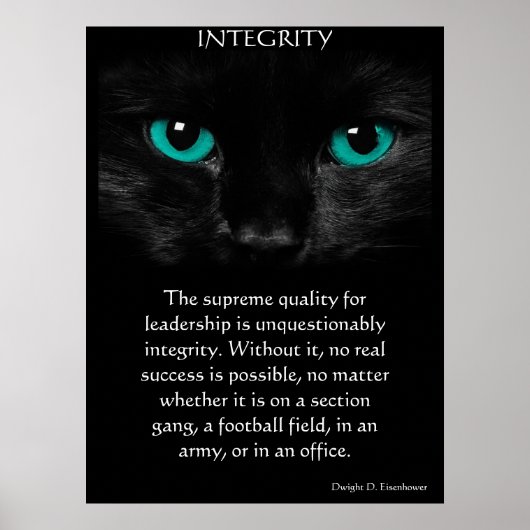 POSTERS INTEGRITEIT (Voorkant)
