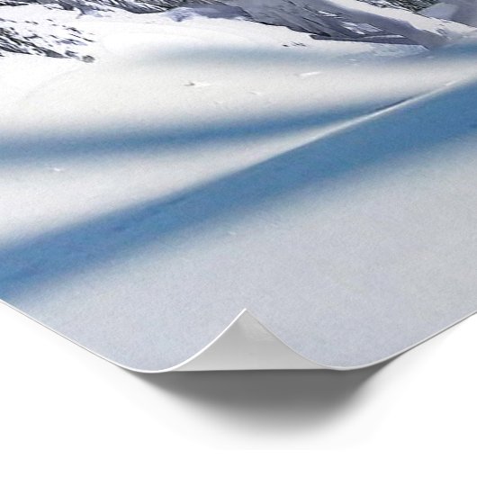 POSTERS INTEGRITEIT (Hoek)