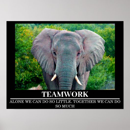 Posters Motivation Faune Elephant Travail d'équipe (Devant)
