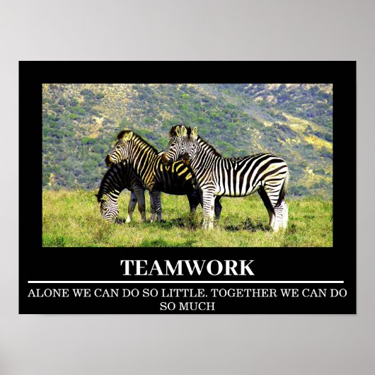Posters Motivation Faune Zebra Teamwork (Devant)