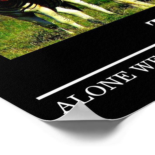 Posters Motivation Faune Zebra Teamwork (Coin)