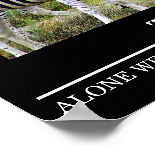 Posters Motivation Faune Zebra Teamwork (Coin)