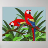 Posters Scarlet Macaw (Devant)