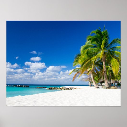 Posters - Sous le soleil des tropiques (Devant)