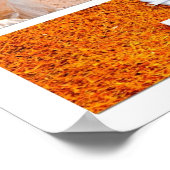 posters tegen roken op wit (Hoek)