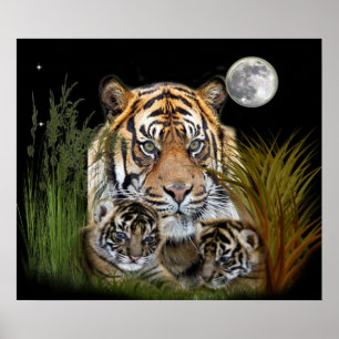 posters tijger en cubs